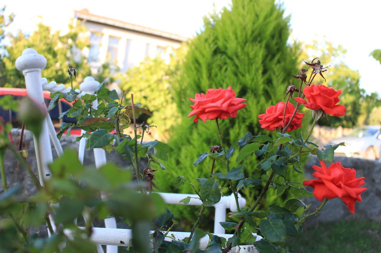 Rumeli Apart Hotel Gokceada Екстер'єр фото